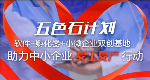 京東智聯(lián)云五色石計(jì)劃 以軟件孵化器與雙創(chuàng)基地賦能小微企業(yè)，打贏復(fù)工復(fù)產(chǎn)技術(shù)阻擊戰(zhàn)